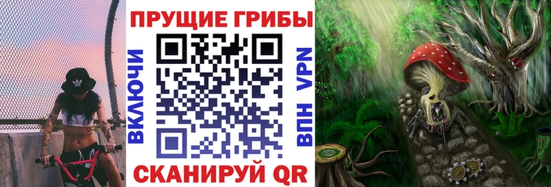 Псилоцибиновые грибы прущие грибы  кракен ССЫЛКА  Приморск 