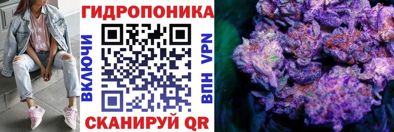 Каннабис ГИДРОПОН  где найти наркотики  Приморск 